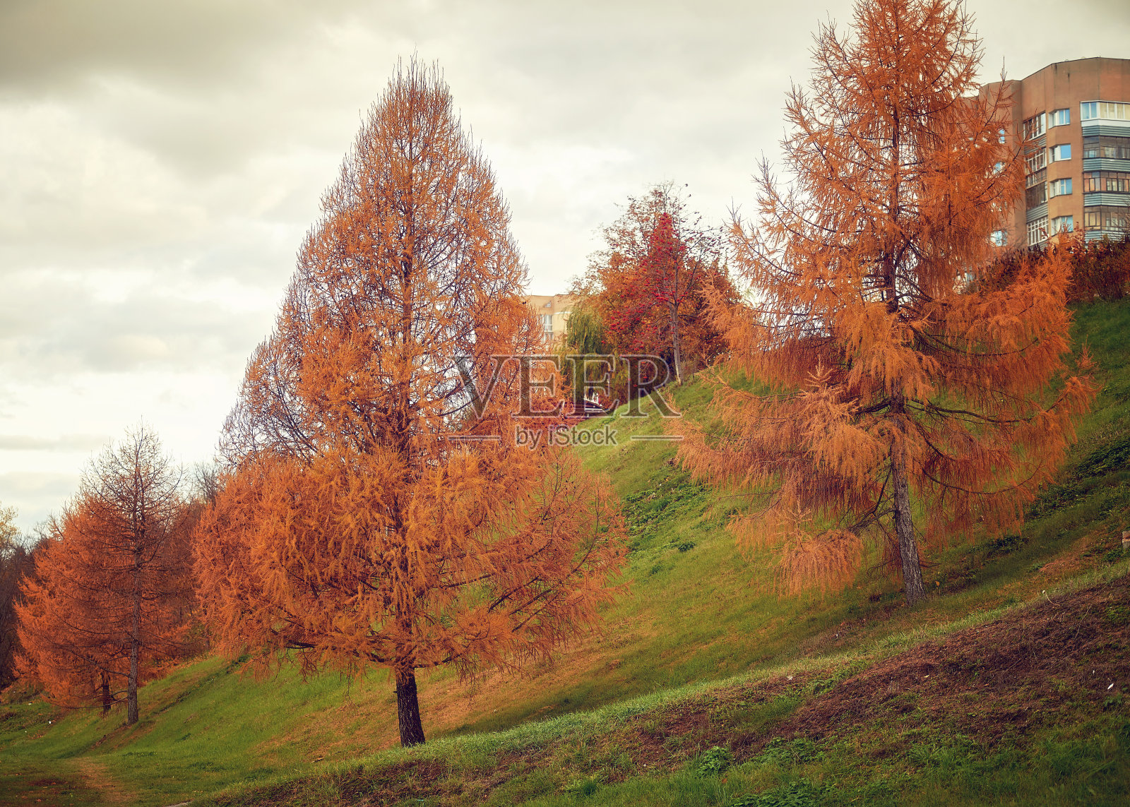 秋天照片摄影图片