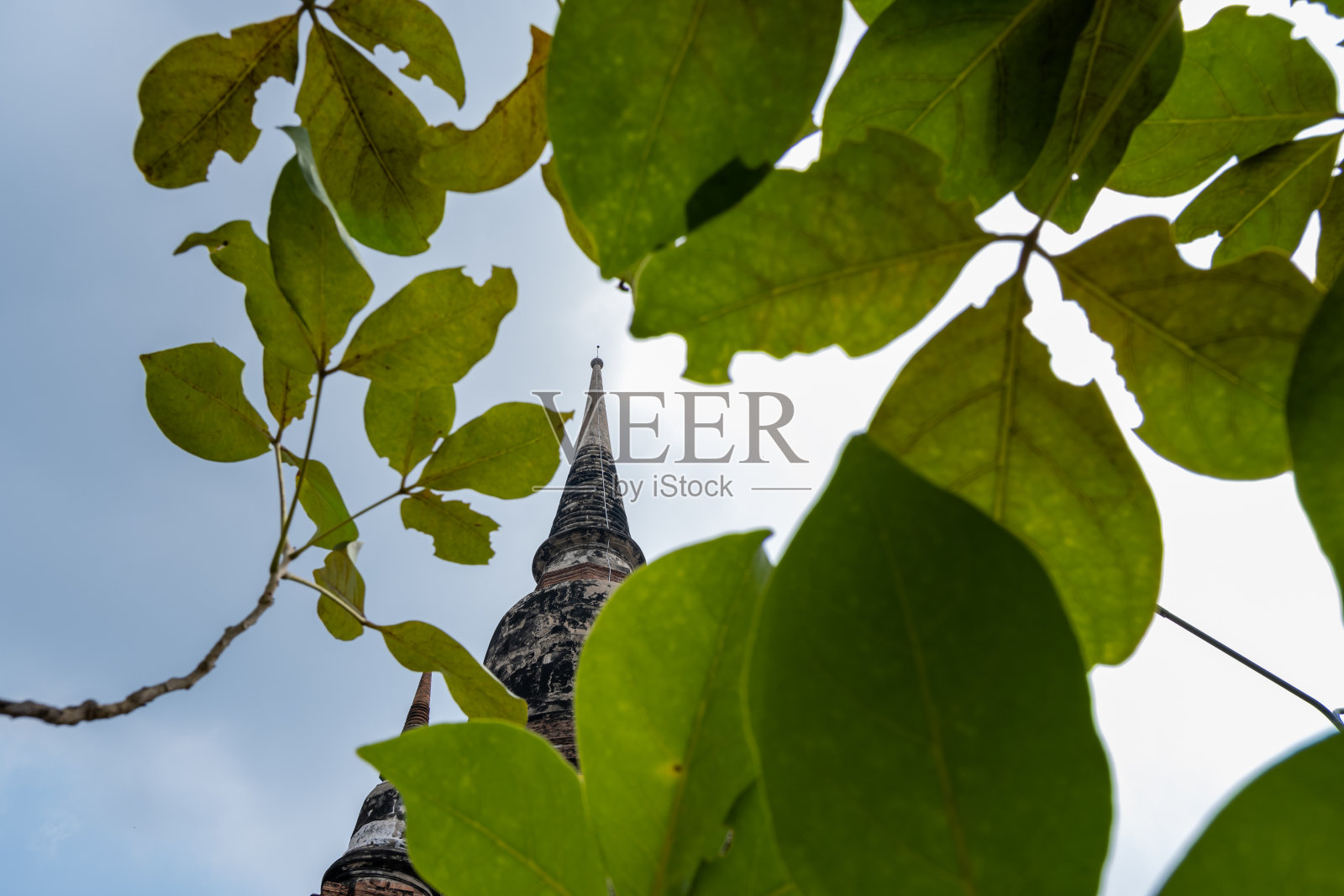 考古遗址,透过树冠观赏照片摄影图片