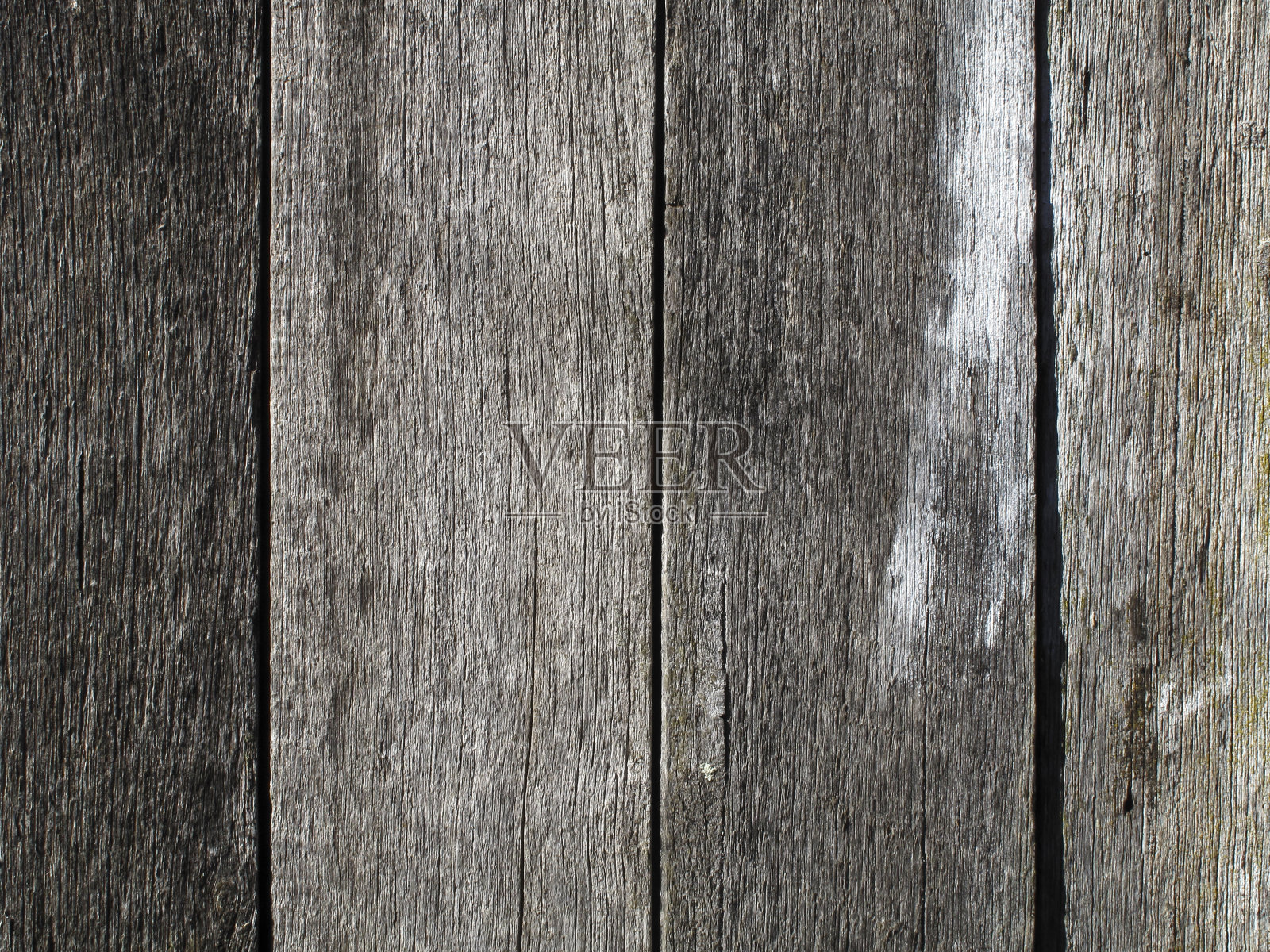 老风化木照片摄影图片