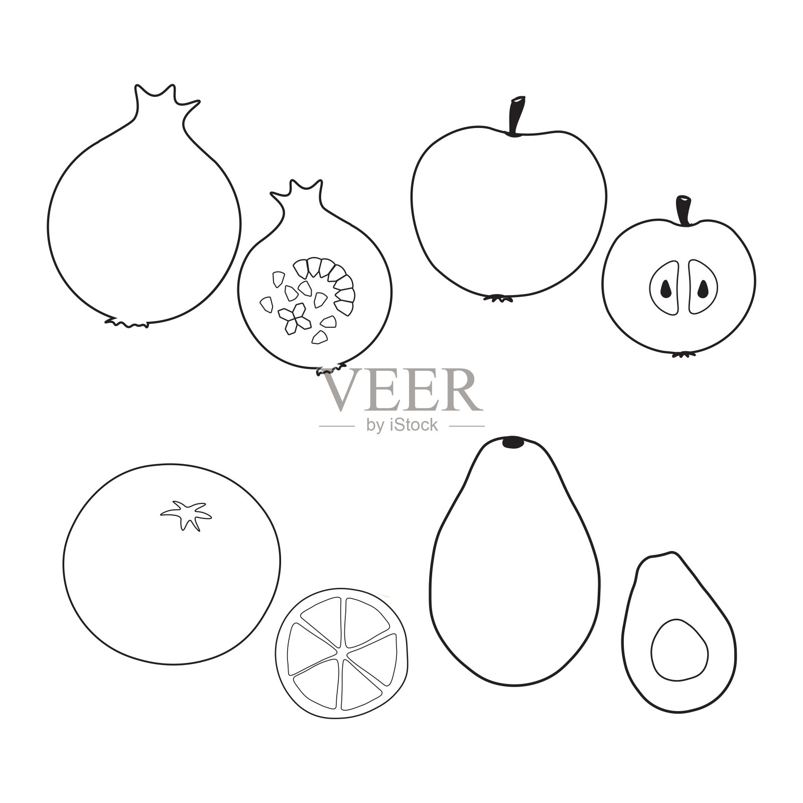 黑色和白色简单的成熟水果和种子绘制。插画图片素材
