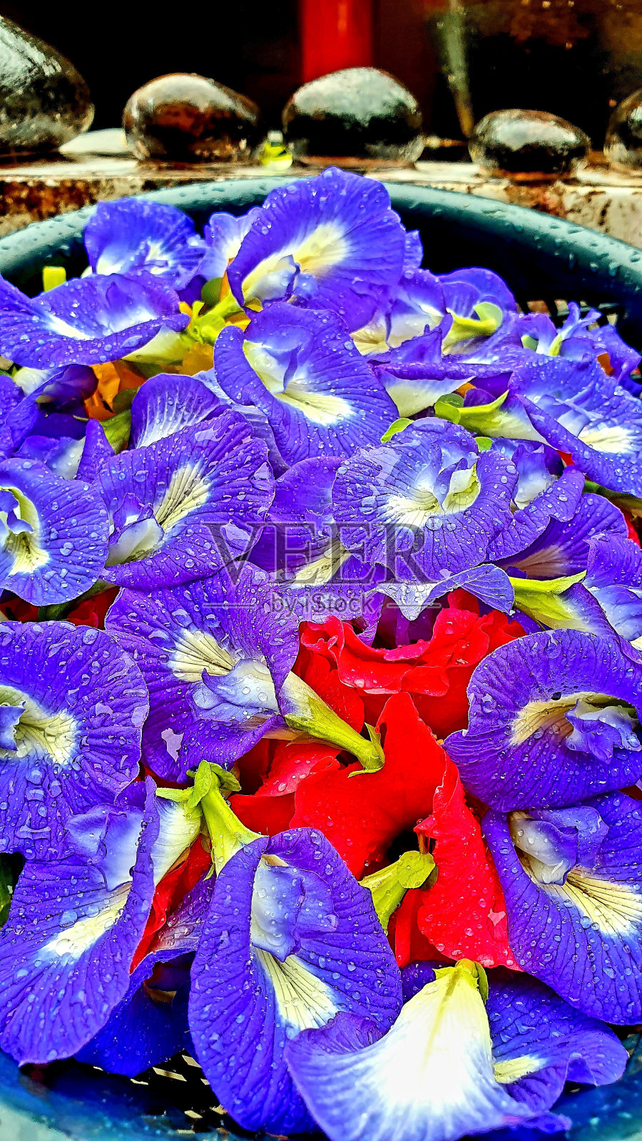 花照片摄影图片