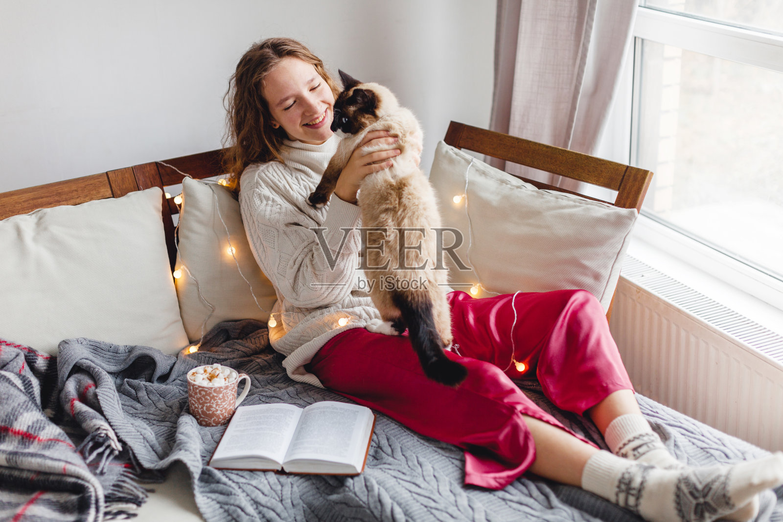 可爱的猫在主人的手上在家照片摄影图片