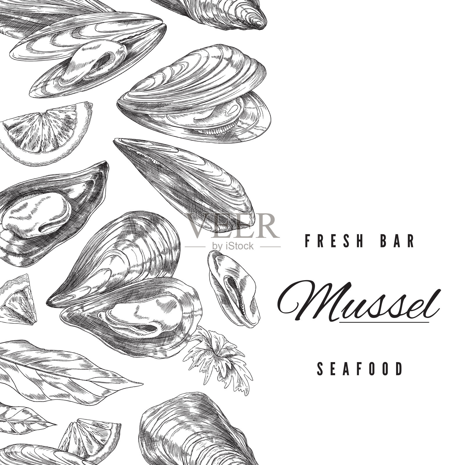 贻贝新鲜酒吧海鲜横幅或海报布局矢量插图孤立。插画图片素材