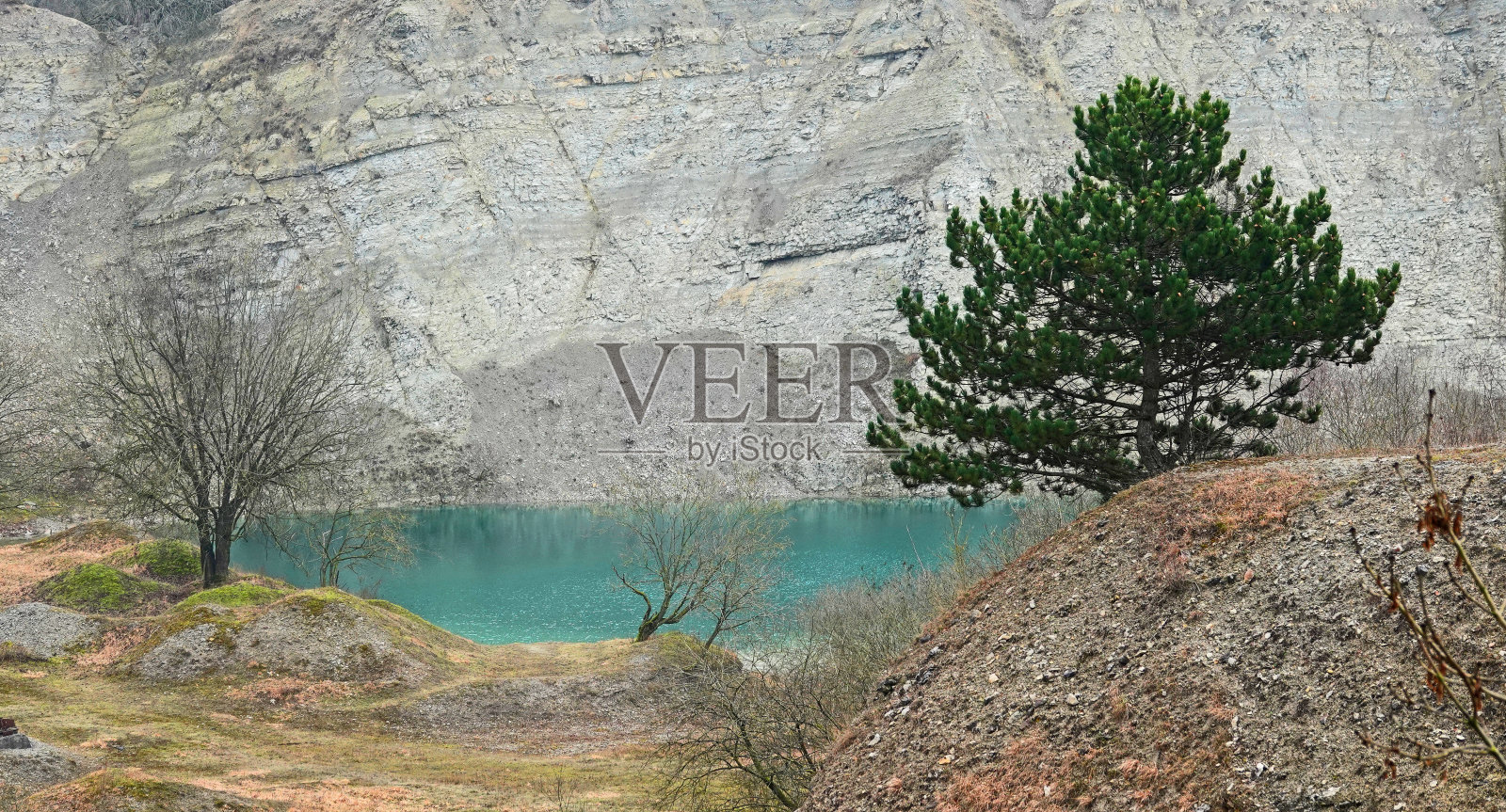 松树,绿松石湖和石灰岩山照片摄影图片