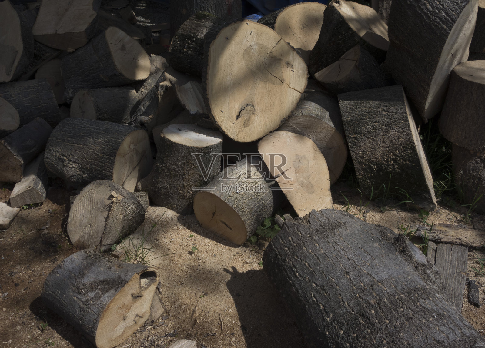 林业中的木材或木柴照片摄影图片