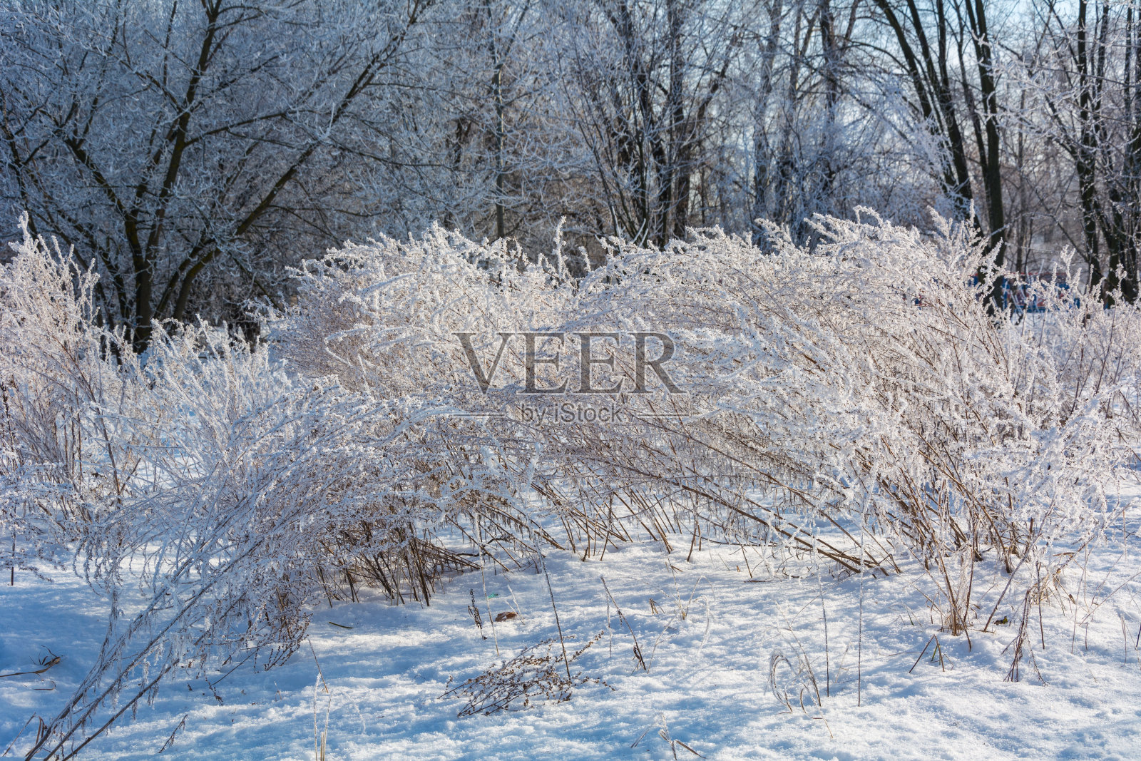 冬天的故事格局照片摄影图片