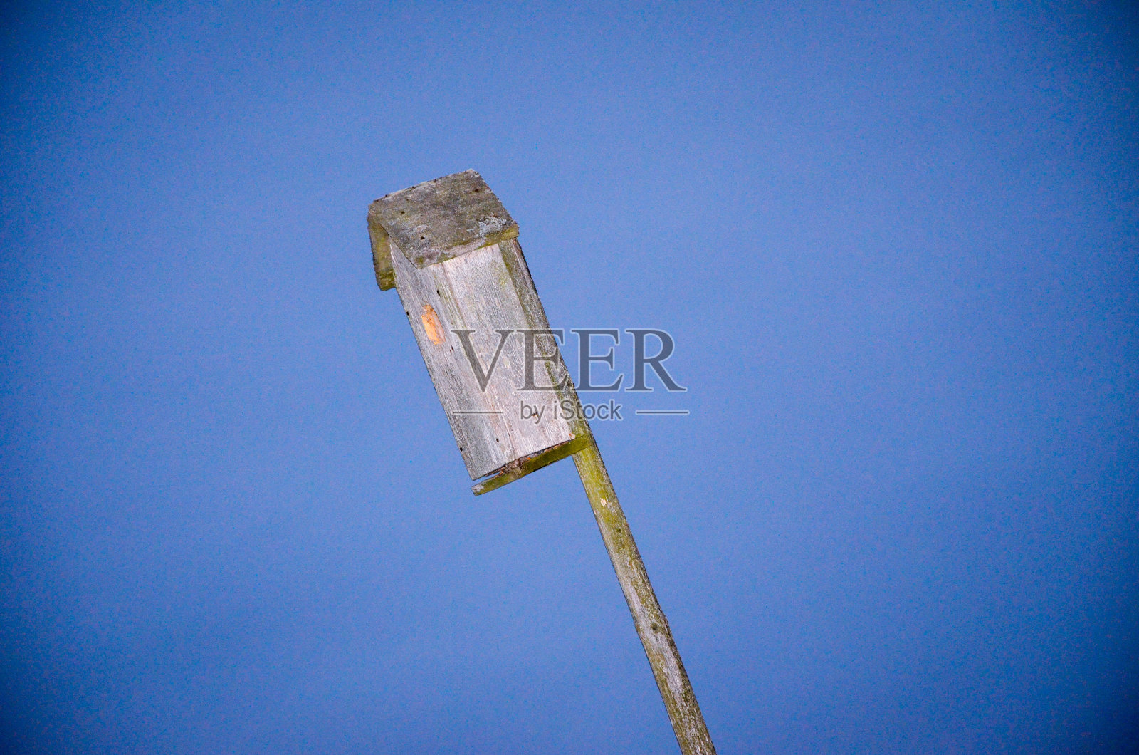 禽舍照片摄影图片