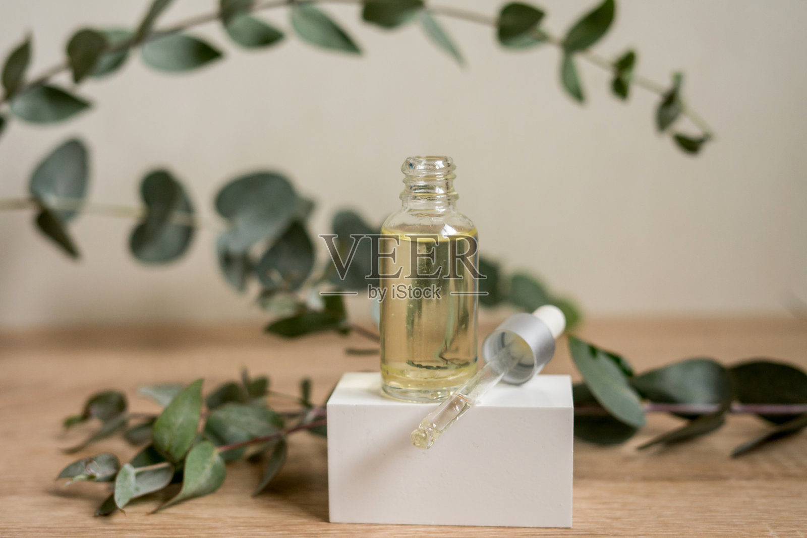 一瓶新鲜桉树叶精油照片摄影图片
