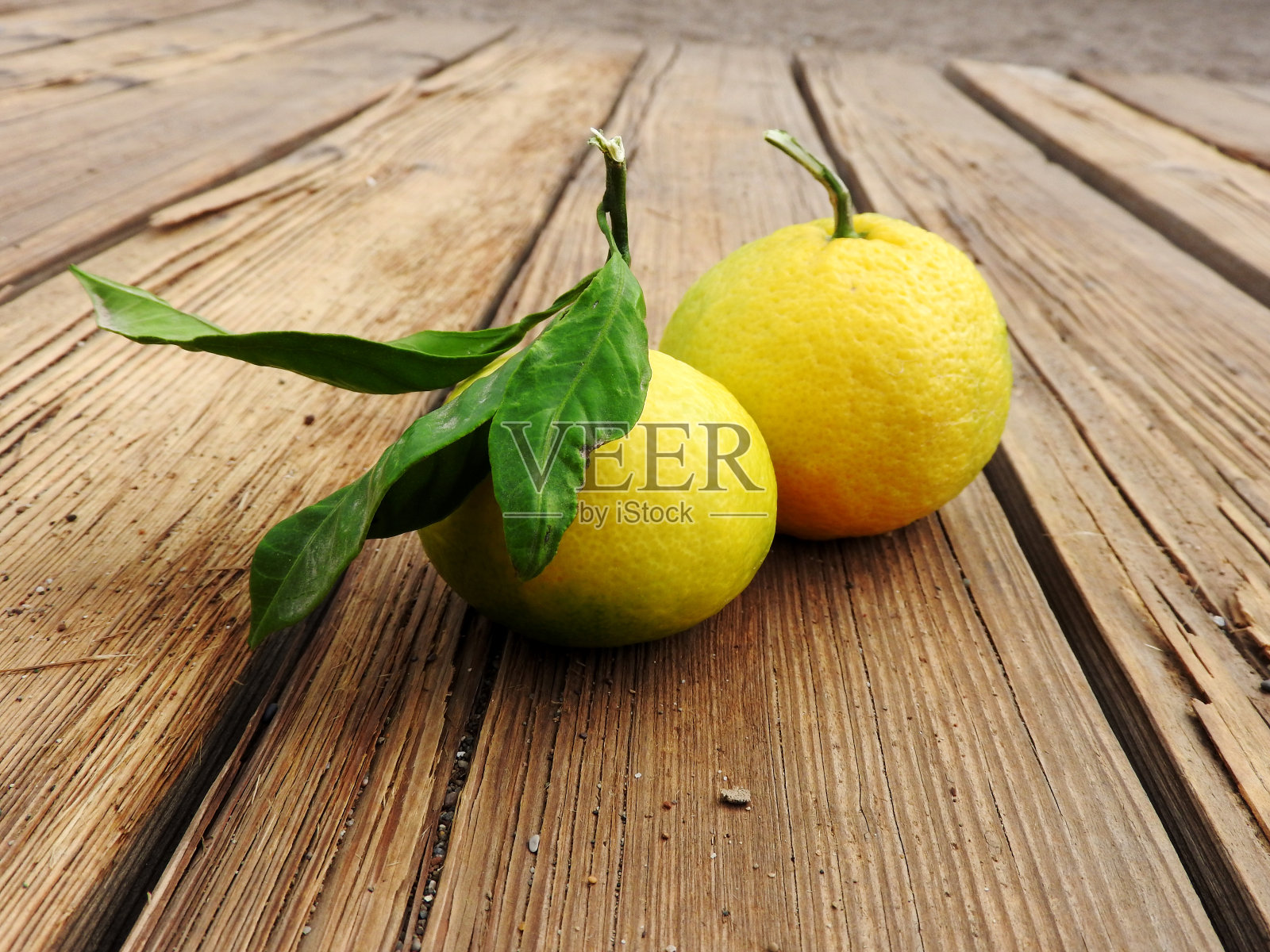 生的橘子照片摄影图片