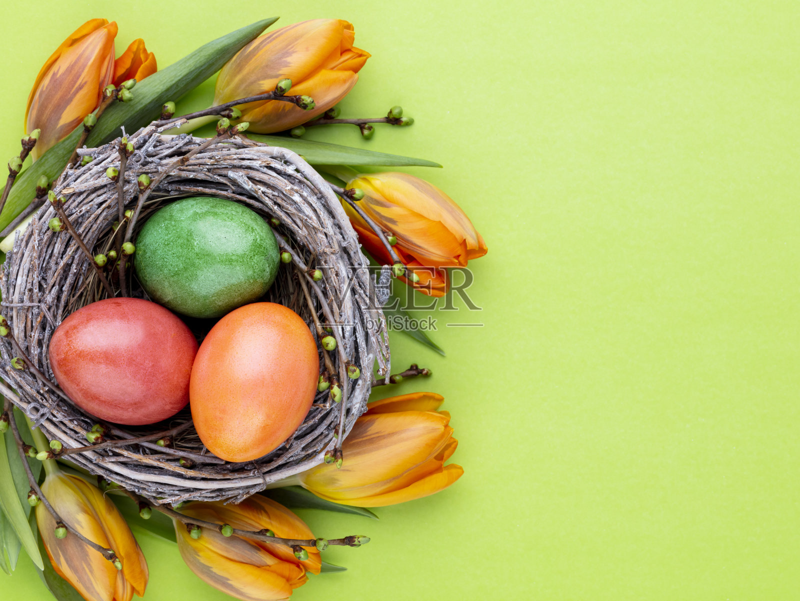 春天的贺卡。复活节彩蛋在巢里。春天花郁金香。“t照片摄影图片