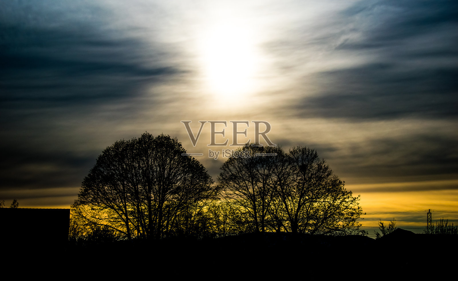 树木和雾蒙蒙的冬日夕阳天空照片摄影图片