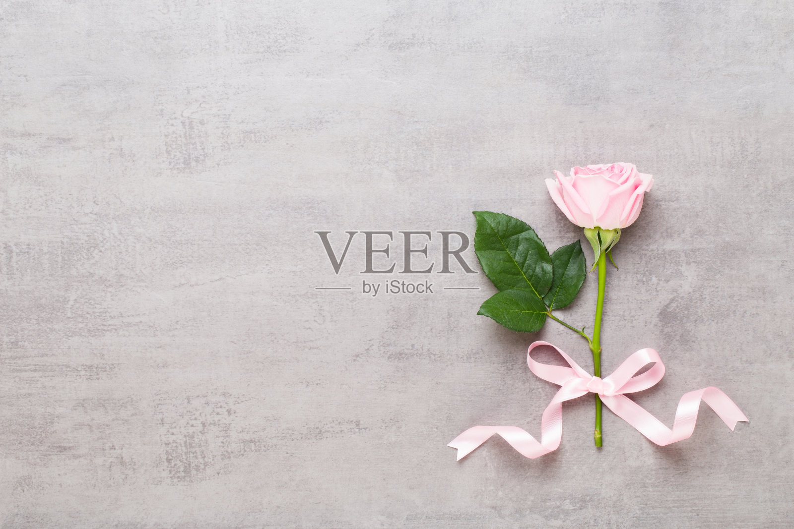 鲜花情人节作文。框架由灰色背景上的粉红色玫瑰。平躺,顶视图,复制空间。照片摄影图片