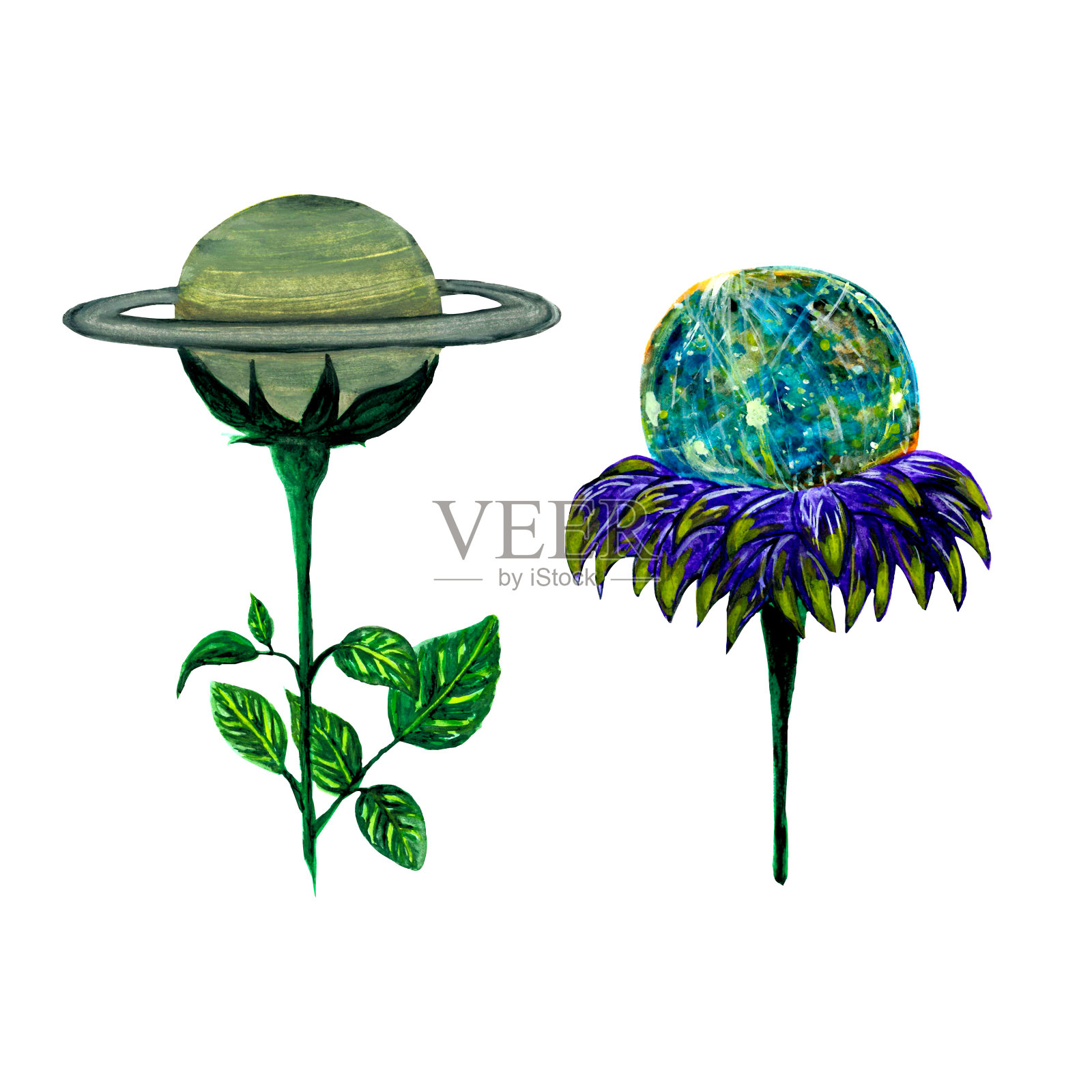 水彩集奇妙的花,土星和水星,绿色和紫色的百合花瓣,在白色的背景为您的设计和纺织品插画图片素材