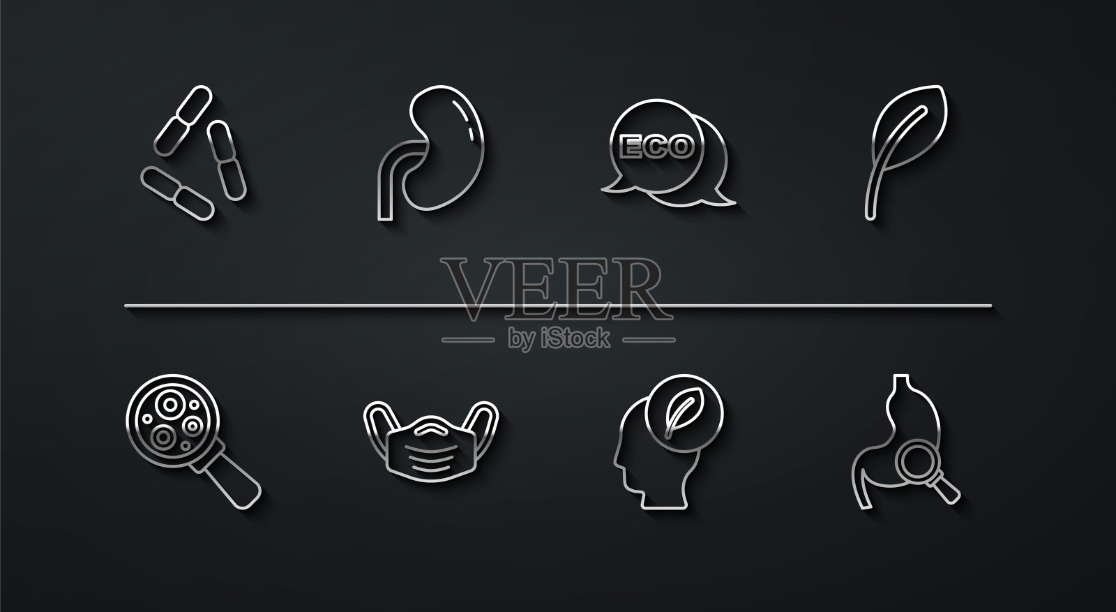 设置病毒、放大镜下的微生物、叶片、带叶片的人头、医用防护口罩、肾、胃放大镜和生态健康食品图标标签。向量图标素材