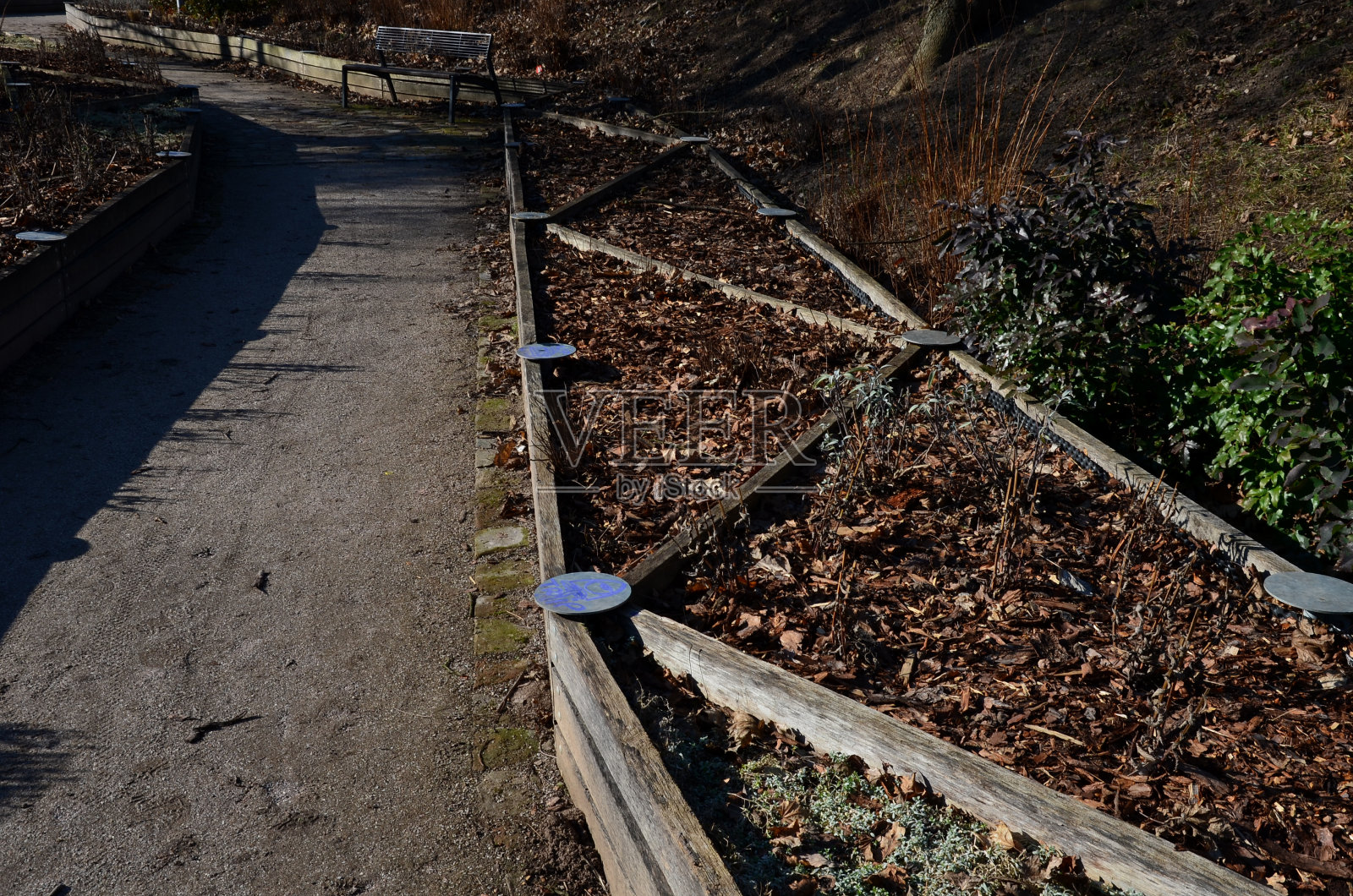 生长区域对角线划分的草本床。一所专业园艺学校的示范和教学基地,教授植物物种。覆盖不锈钢接头。坐着照片摄影图片