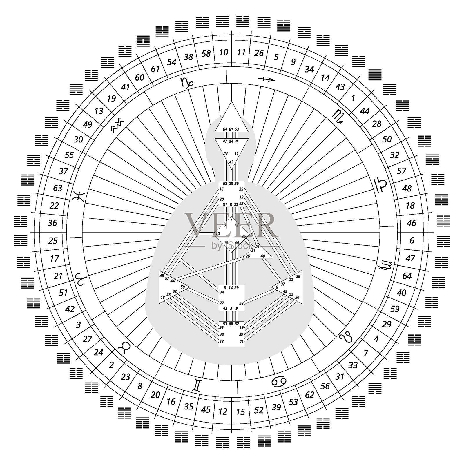 曼陀罗人体图案有人体图、卦经、十二生肖。对于演示,教育材料。黑白矢量插图设计元素图片