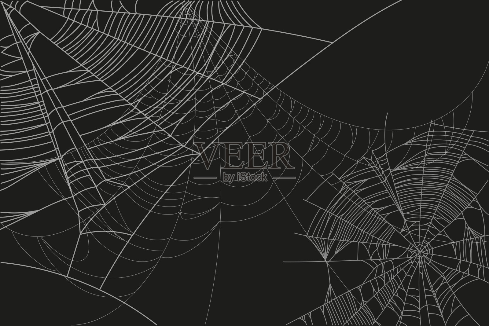 蜘蛛插画图片素材