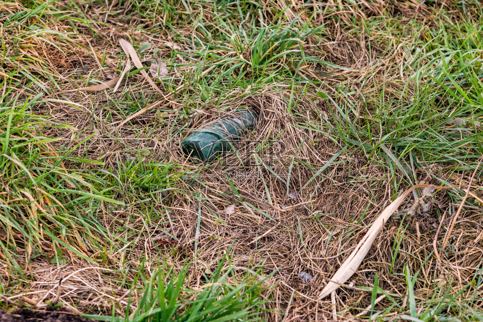 一个玻璃瓶被粗心的人简单地扔进绿色环境照片摄影图片