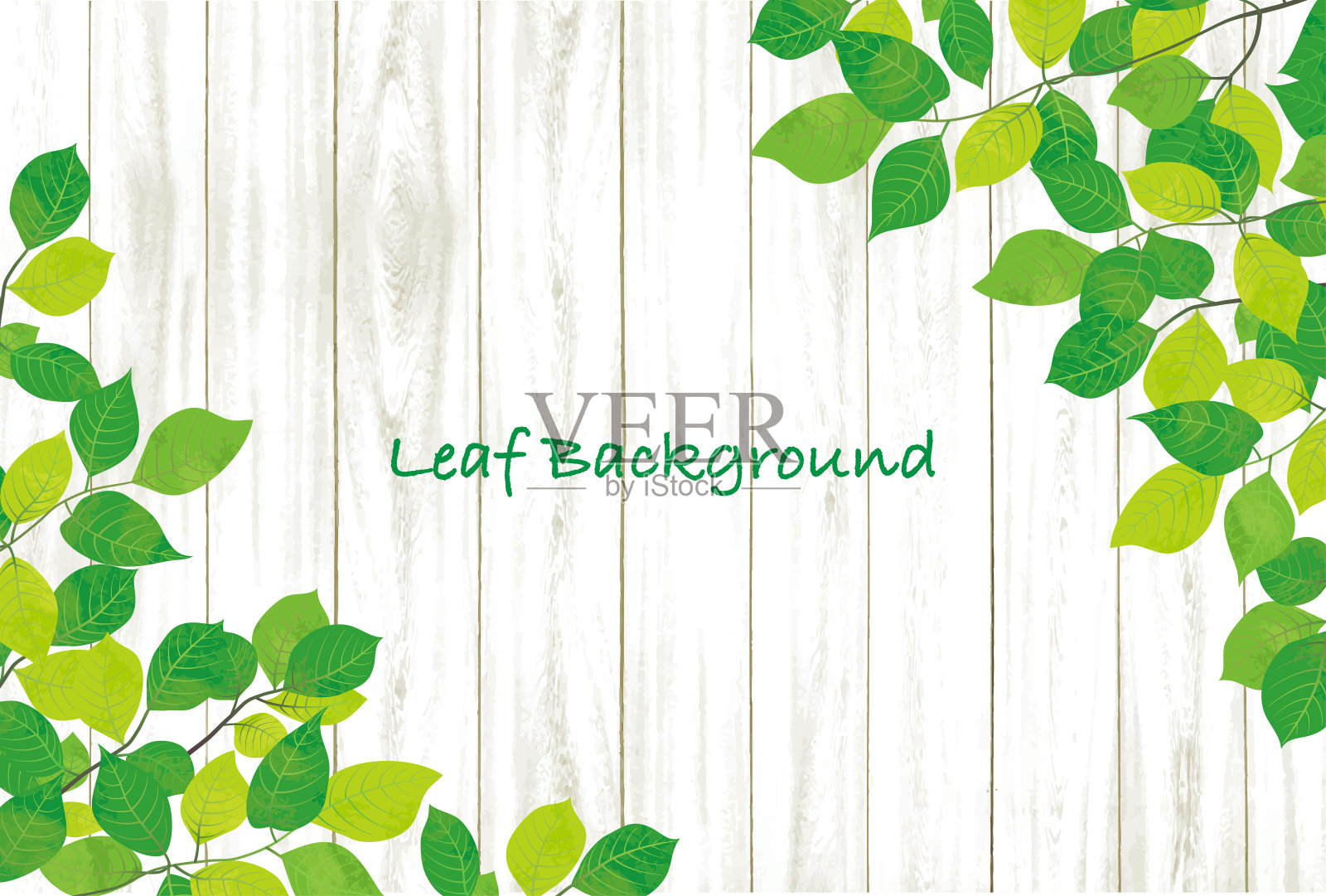 新鲜的绿叶和白色木纹背景材料设计元素图片