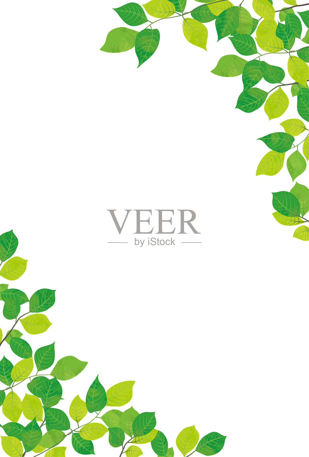 清新的绿色背景材料插画图片素材