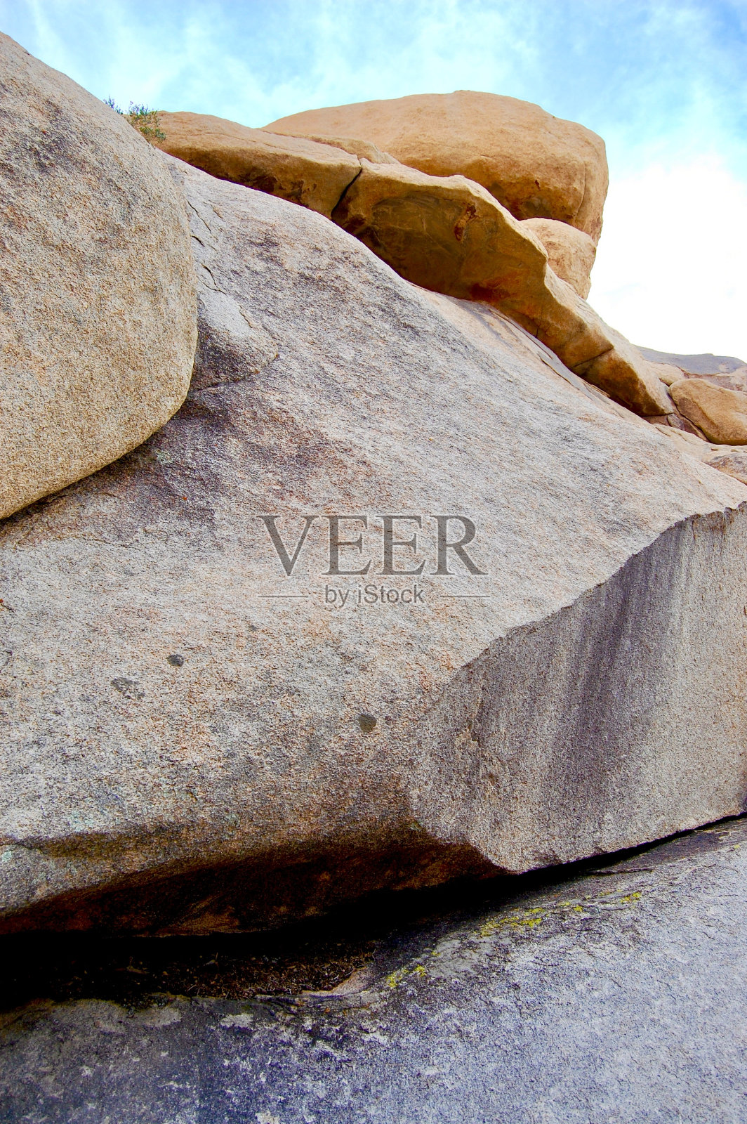 崎岖的约书亚树景观照片摄影图片