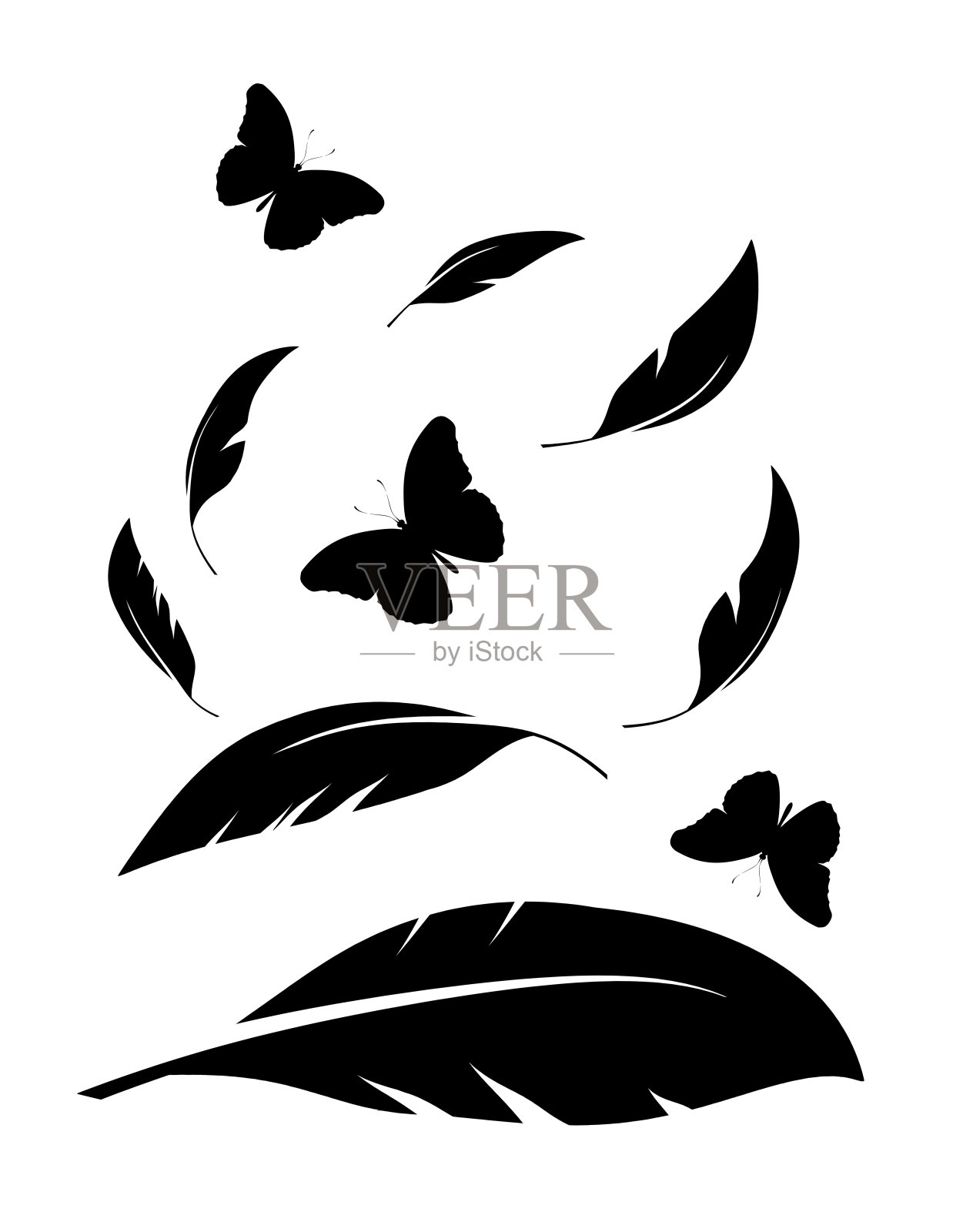 黑色羽毛和蝴蝶群孤立在白色背景上插画图片素材