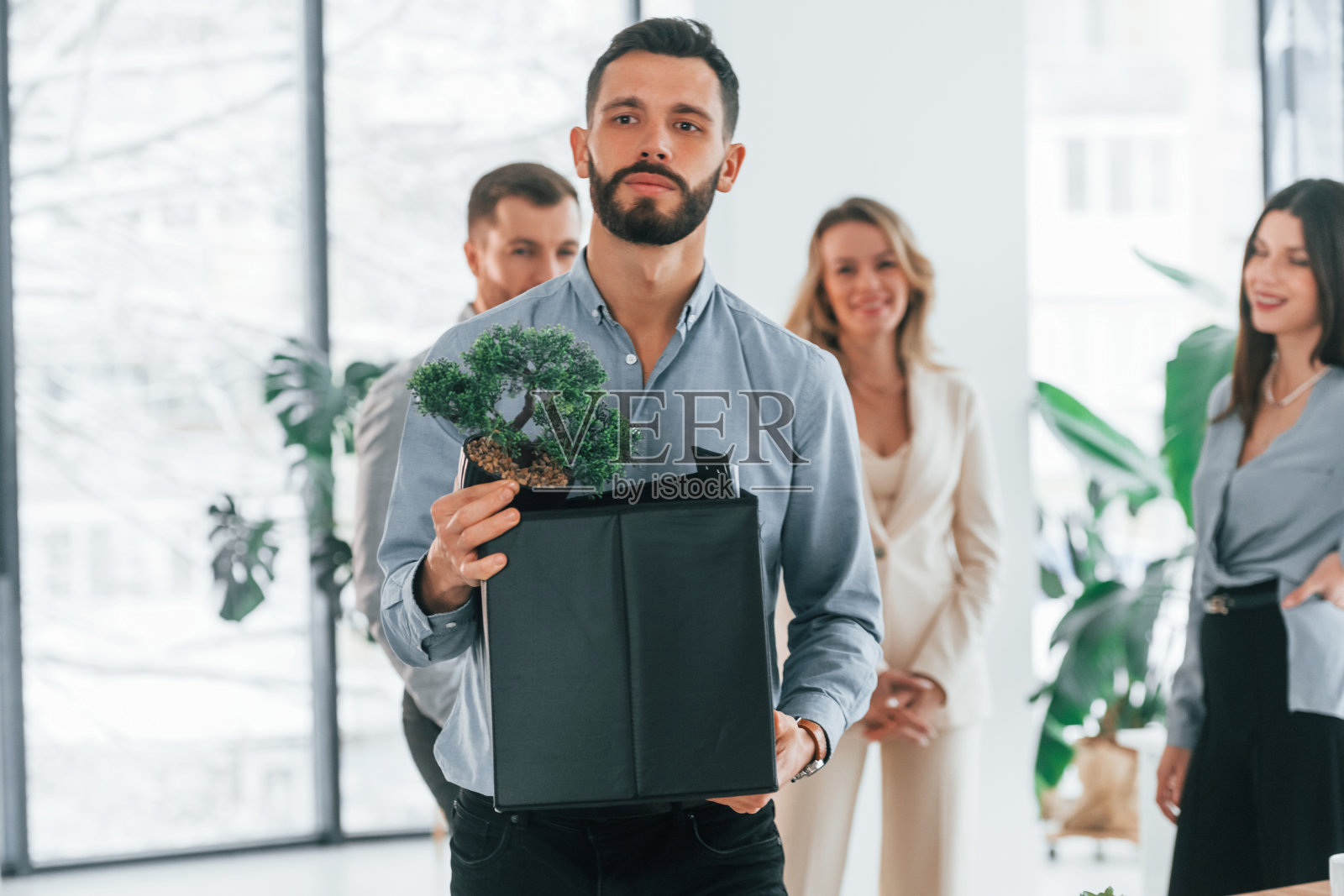 在白天。在办公室里为这个项目工作的一群商务人士照片摄影图片