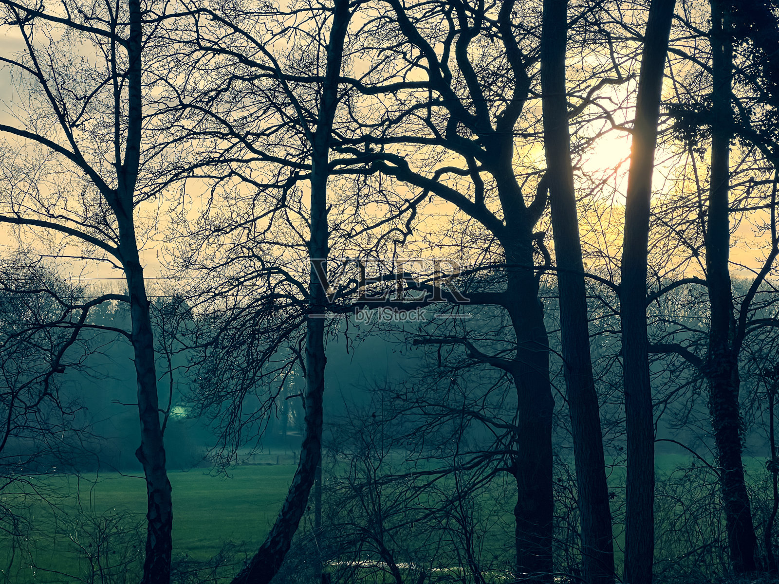 冬天透过树木观赏美丽的风景。照片摄影图片
