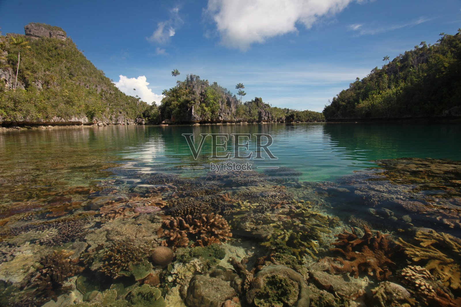 环礁湖照片摄影图片