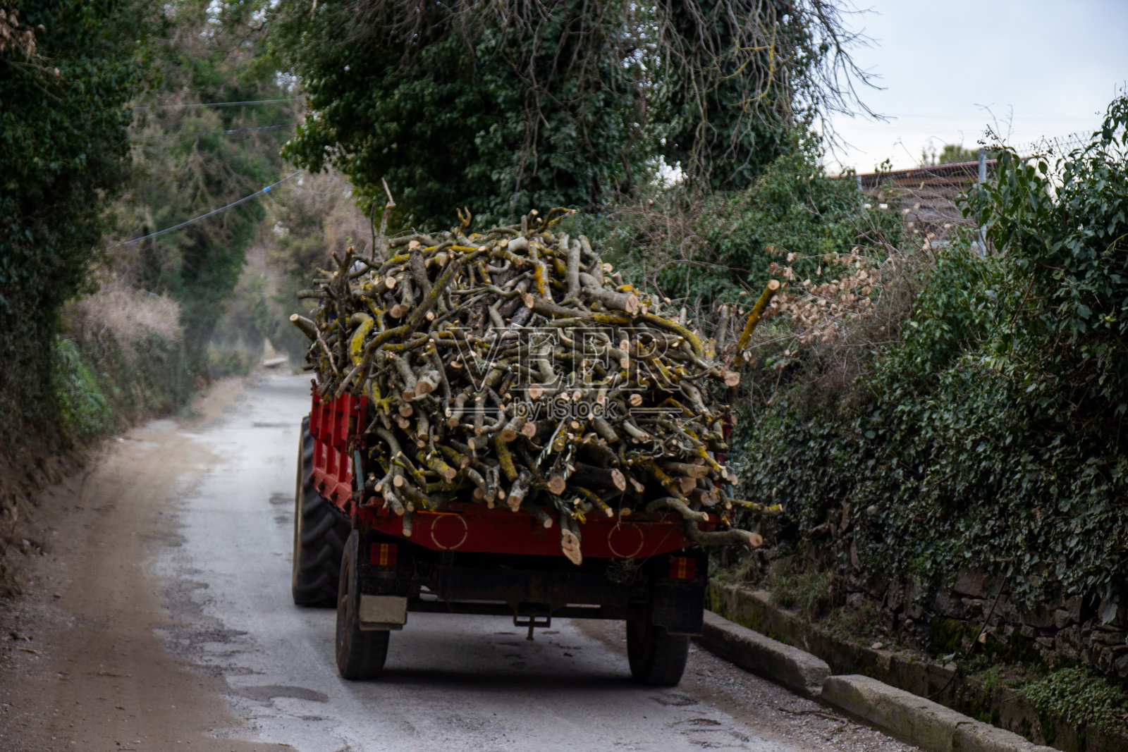 用拖车运载倒下树木的拖拉机照片摄影图片
