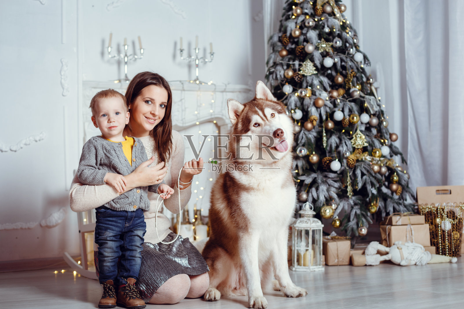 家庭在新年的室内照片摄影图片