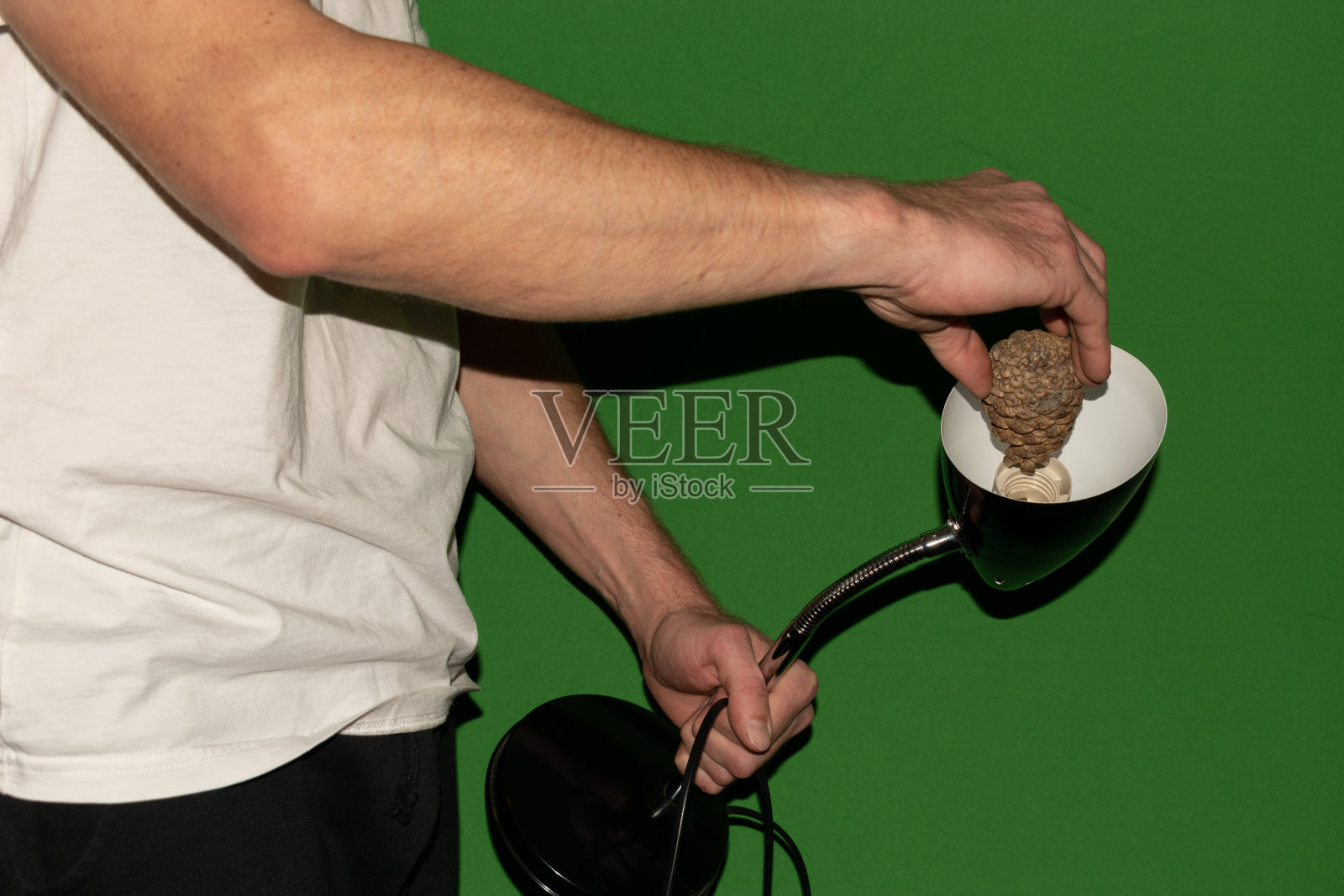 把松果拧进灯里照片摄影图片