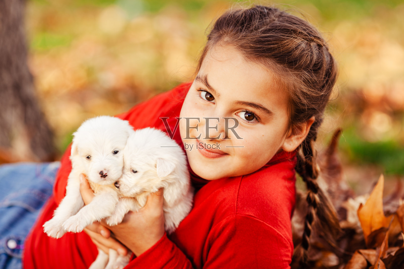 女孩与小狗玩耍照片摄影图片