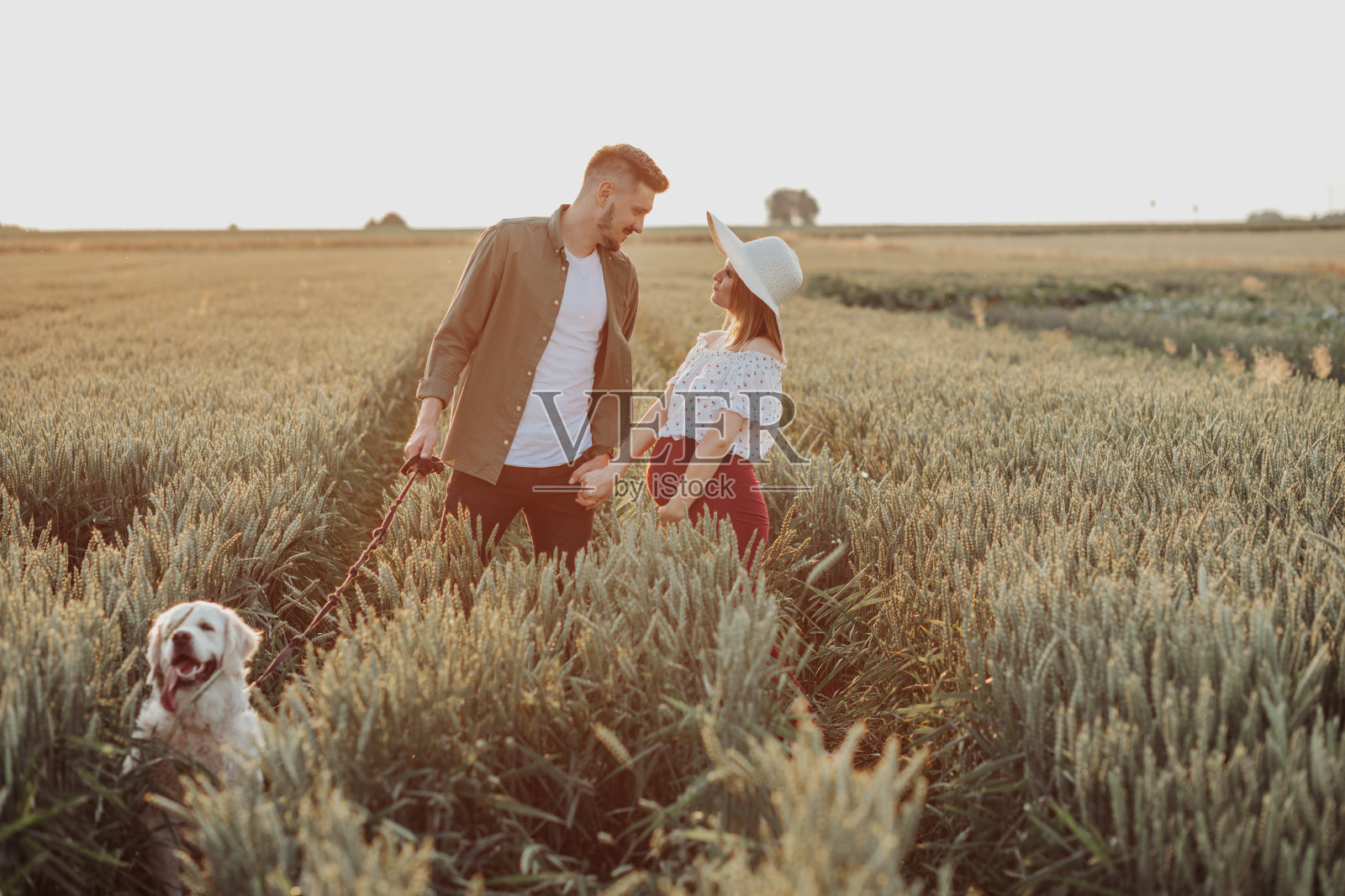 年轻怀孕的妻子和丈夫走在田野里,手牵着手。夫妇等待宝宝,与狗狗在户外放松照片摄影图片