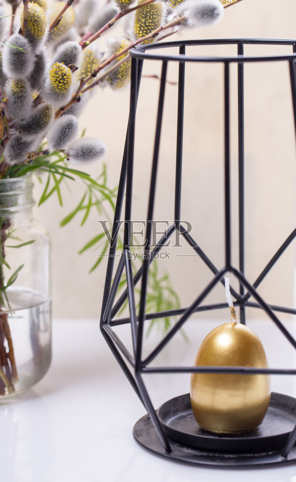 在白色背景的小猫柳树上的扩张的芽照片摄影图片