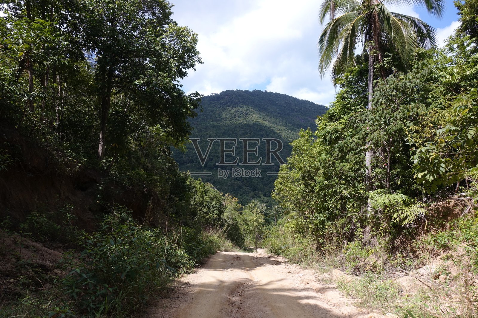 泰国照片摄影图片