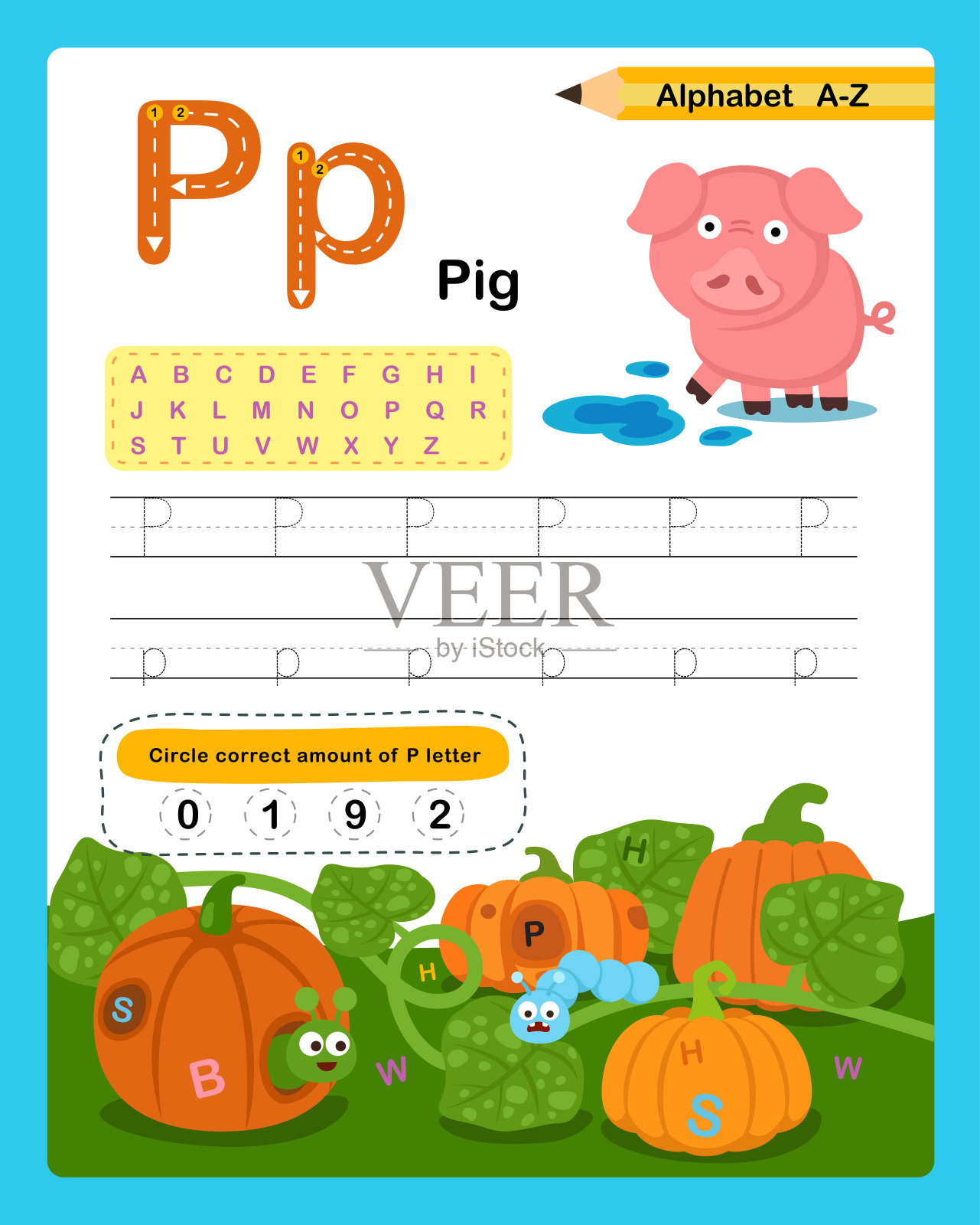 字母字母P -猪练习与卡通词汇插图,矢量插画图片素材