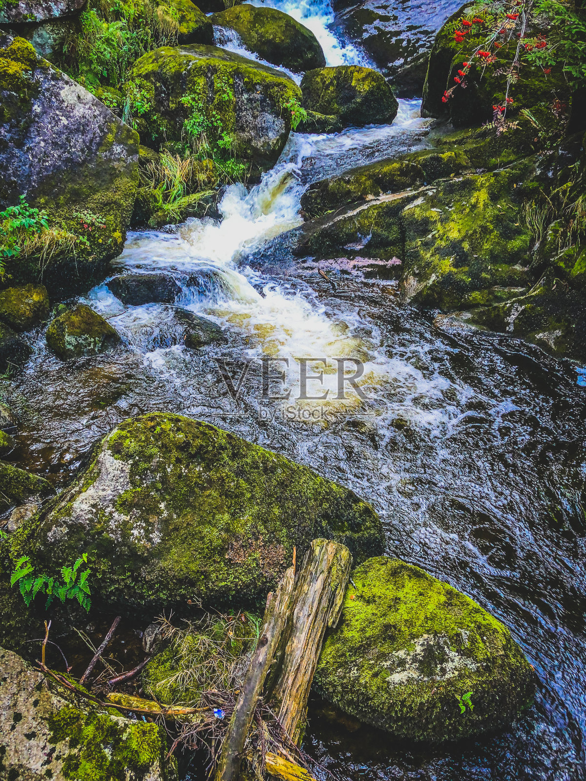 德国黑森林的瀑布。照片摄影图片