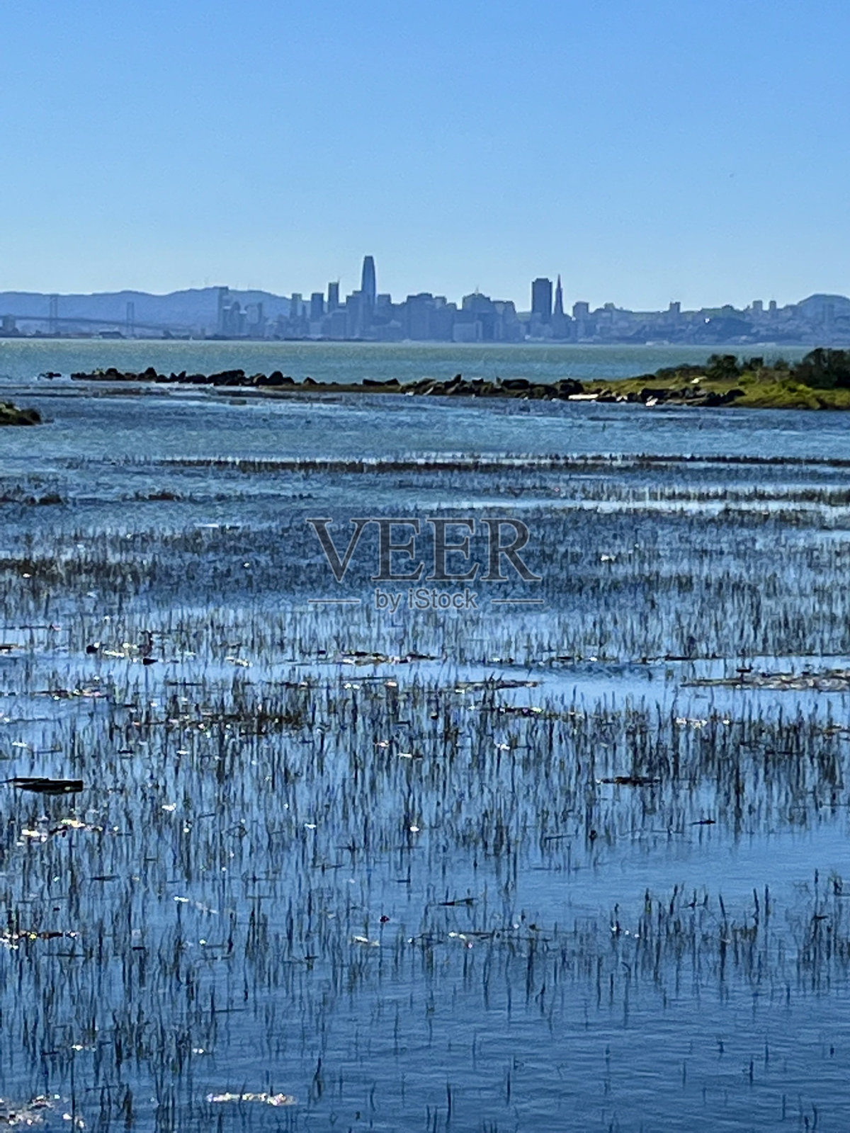 旧金山湾岸边的湿地照片摄影图片