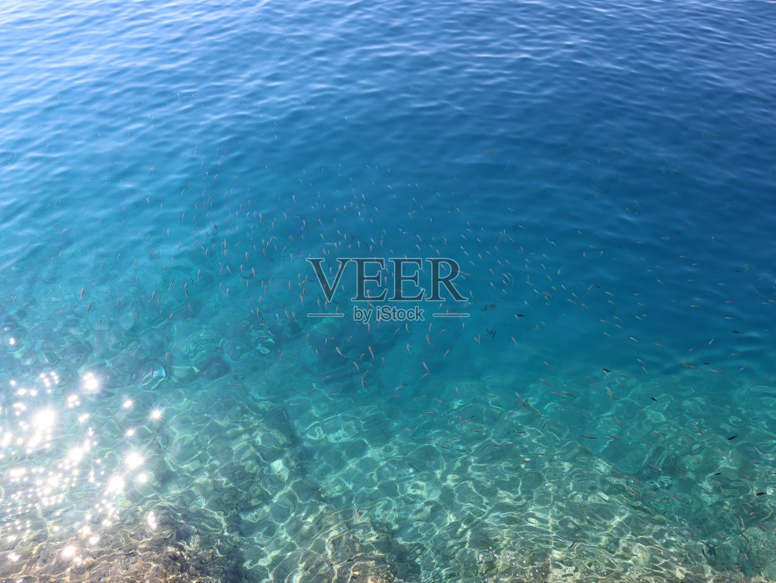 在阳光明媚的日子里,鱼儿透过湛蓝的海水看过去照片摄影图片