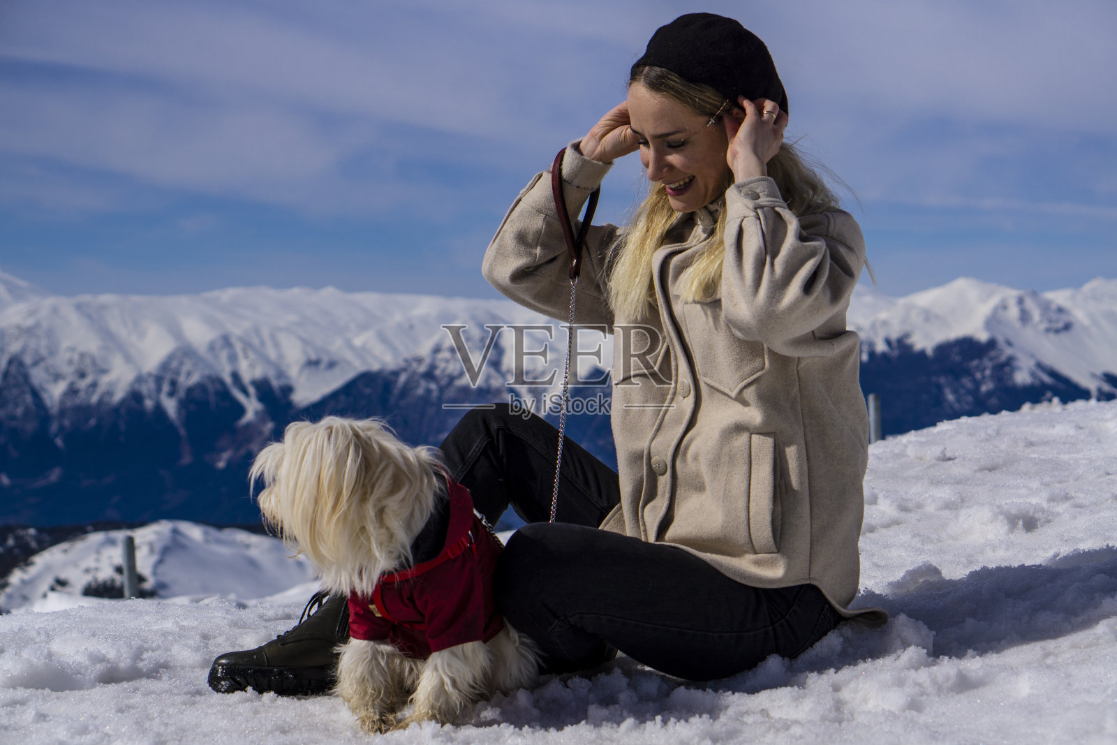 宠物爱照片摄影图片