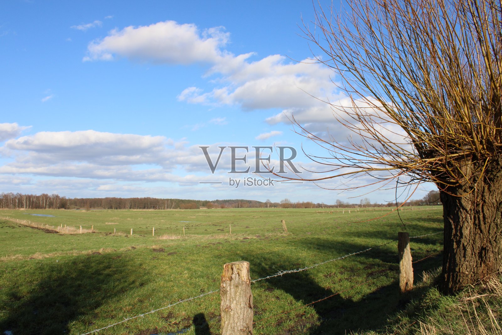 字段的进一步视图照片摄影图片