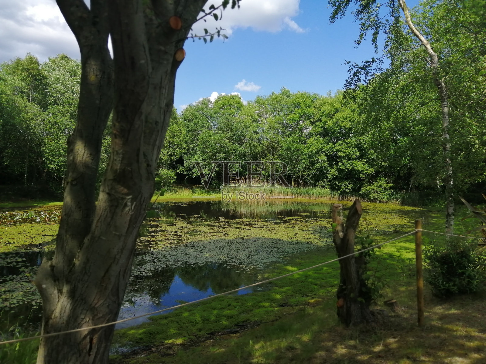 和平散步照片摄影图片
