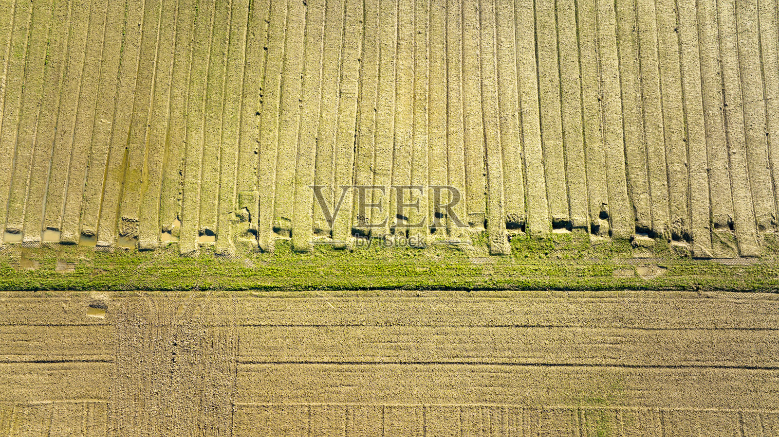 农业领域-鸟瞰图照片摄影图片