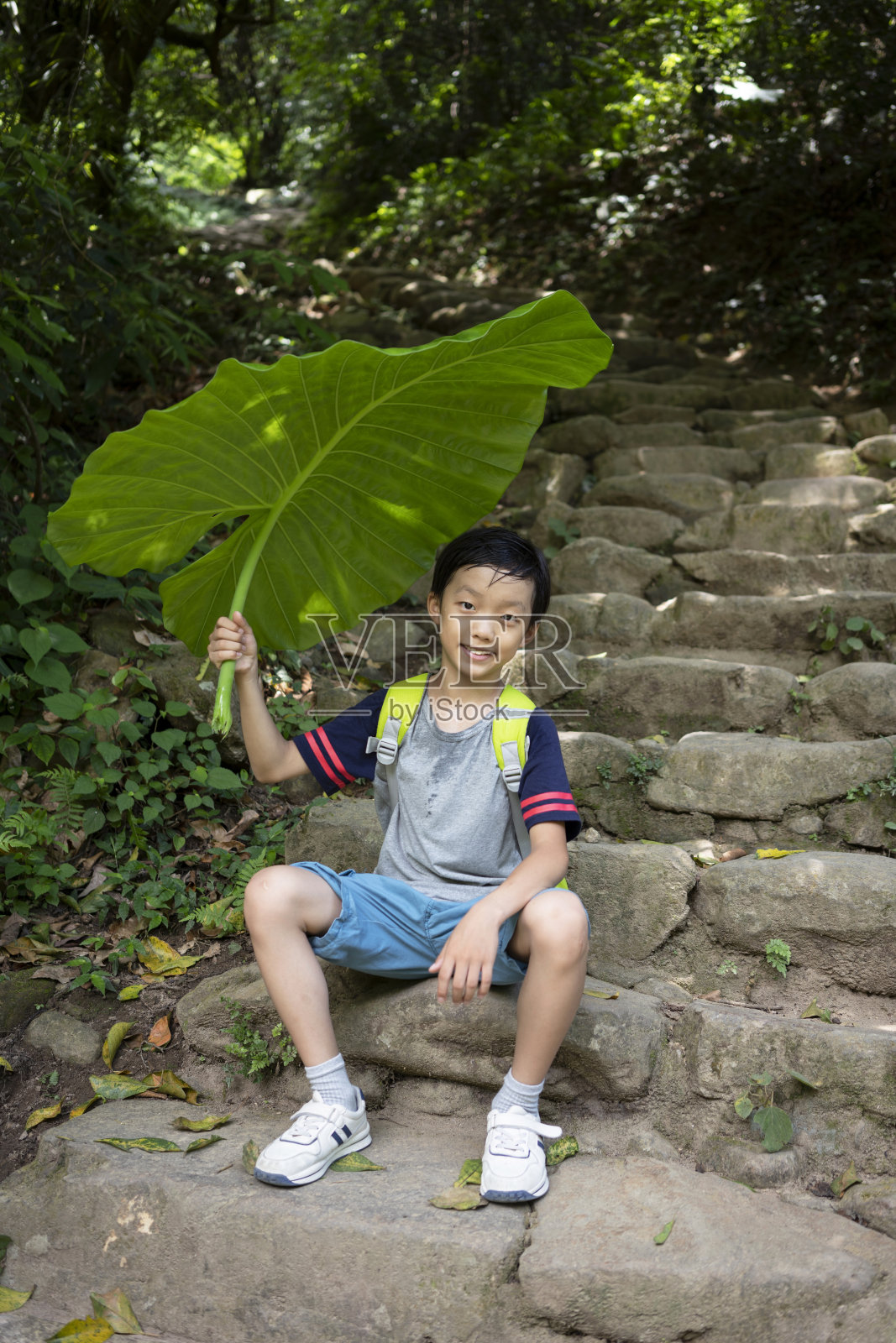 亚洲儿童在山里徒步旅行照片摄影图片