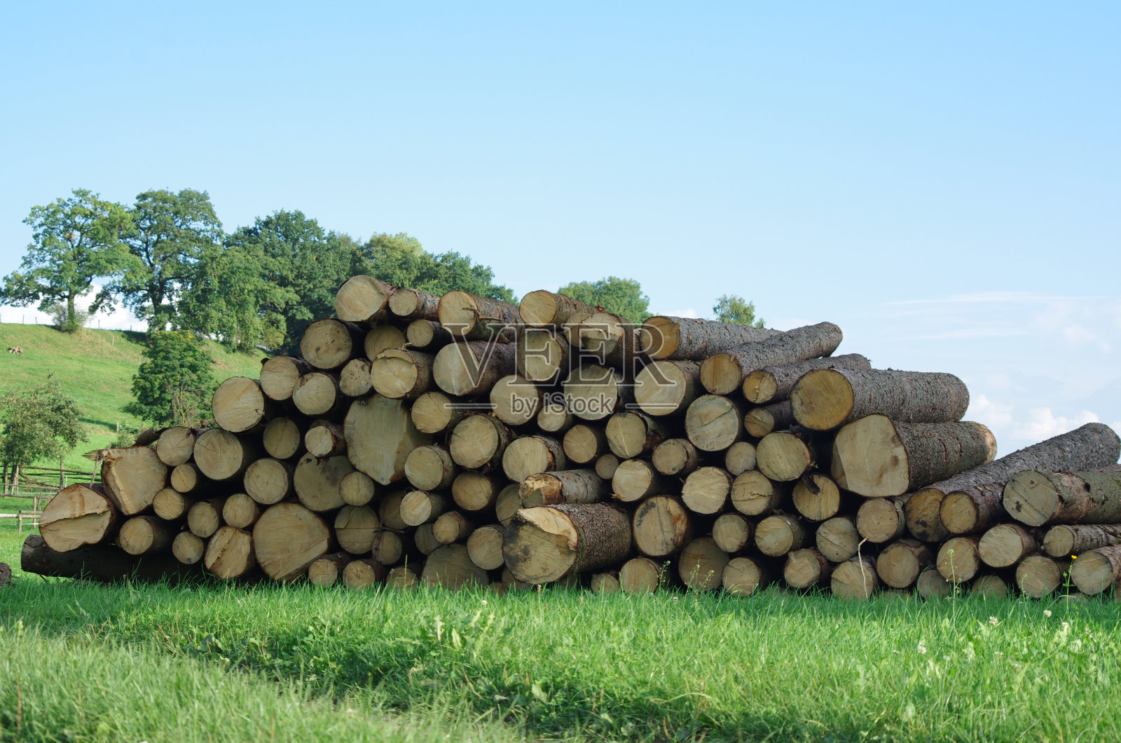 户外木桩,自然木棒照片摄影图片