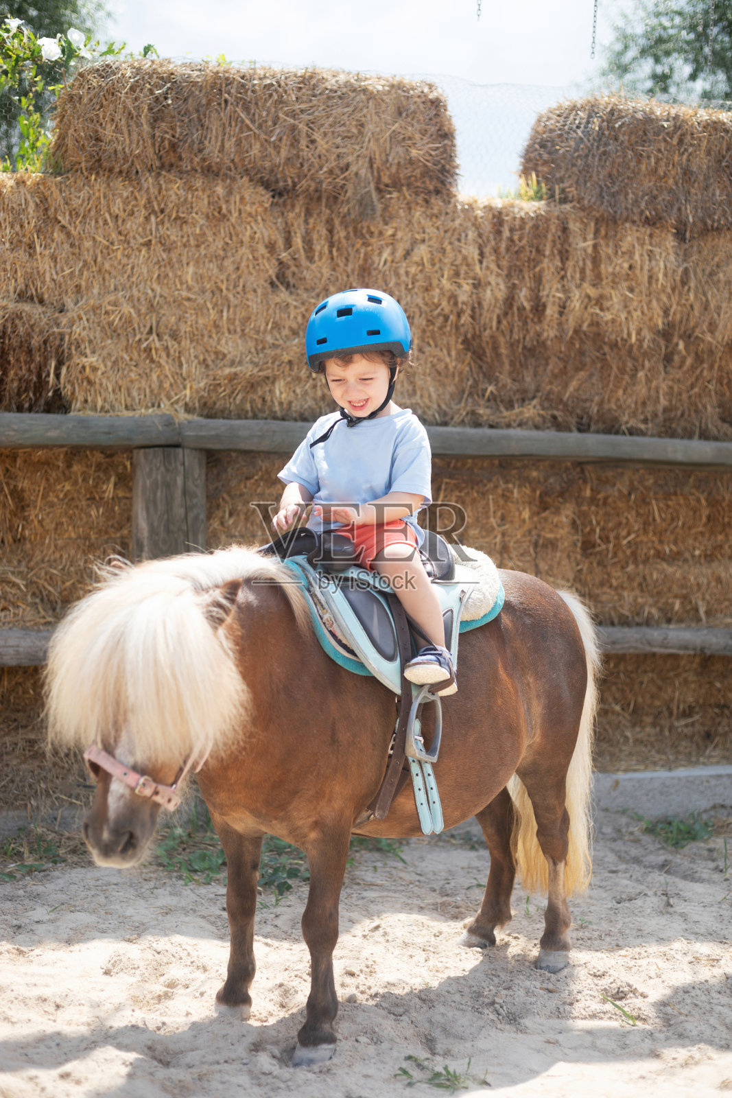 小男孩骑着小马照片摄影图片