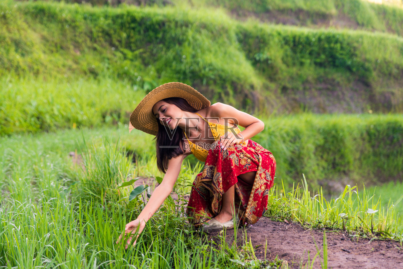 巴厘岛Tegalalang梯田上的一名妇女照片摄影图片