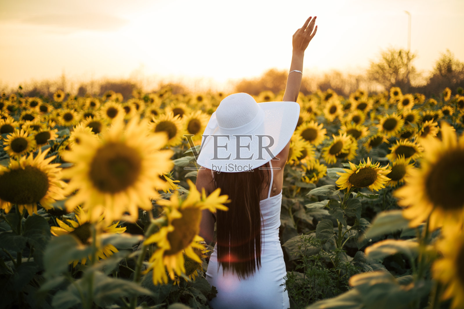 漂亮的女人照片摄影图片