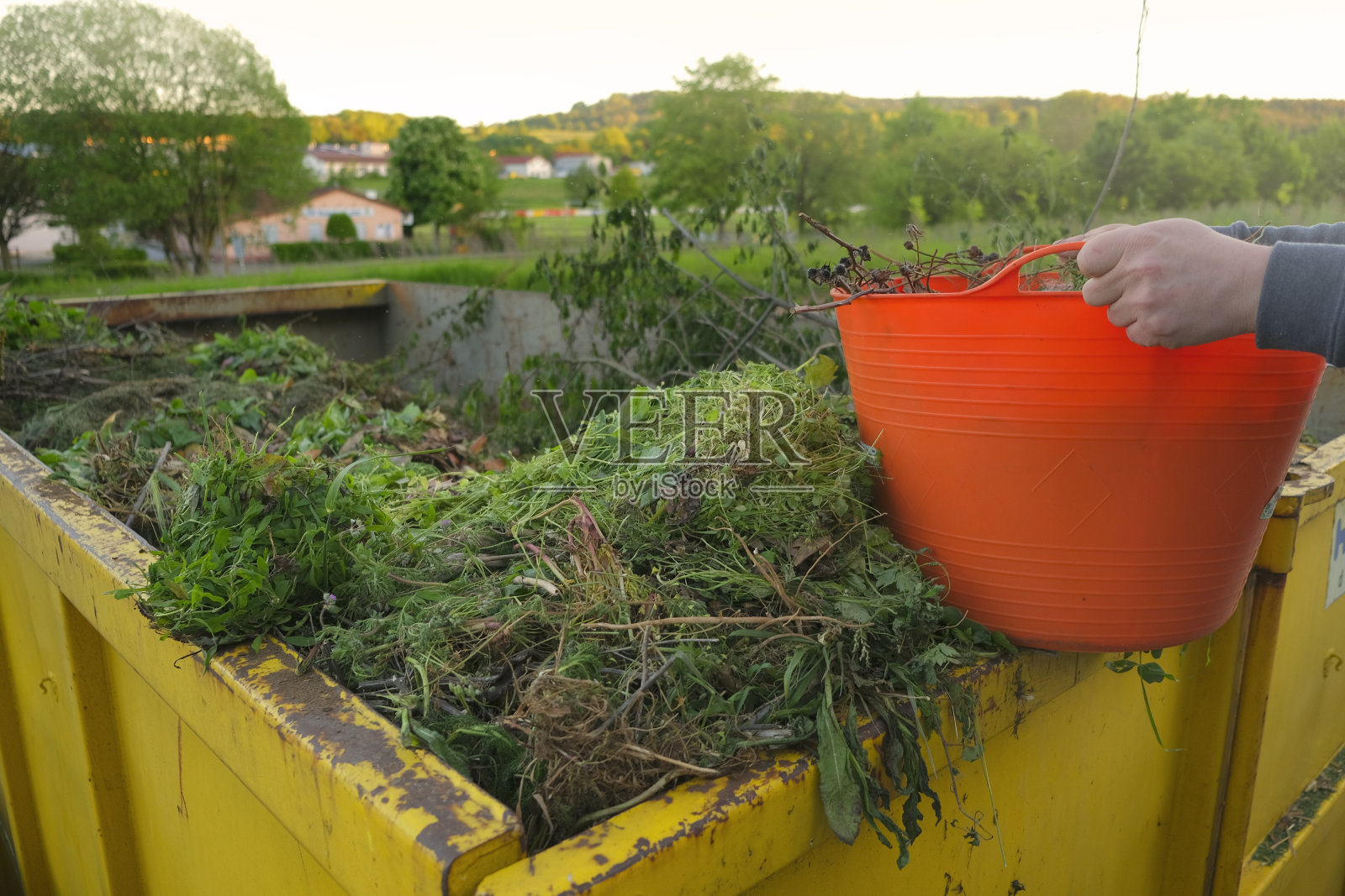 蔬菜废弃物。在一个男人的手中装满蔬菜堆肥的水桶。草和树叶。生物垃圾。许多不同植物的绿色堆肥。绿色的堆肥。照片摄影图片